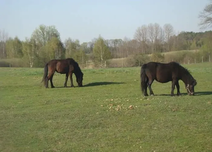 Gospodarstwo Agroturystyczne Lesna Polanka